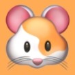 WWW,339se·COM网站APP