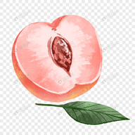 WWW,973av·COM网站APPAPP应用